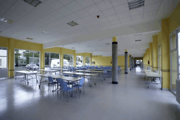 42da24_2938c814bb704d89bfb74e46a2e06886~mv2_resultado