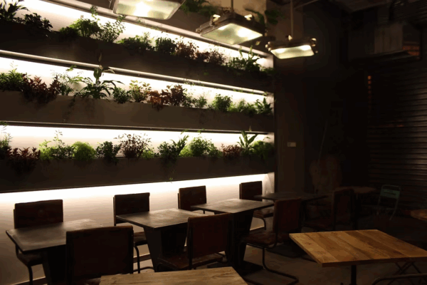 42da24_fddeec1825a947f7a6f61842b85f6efd_mv2