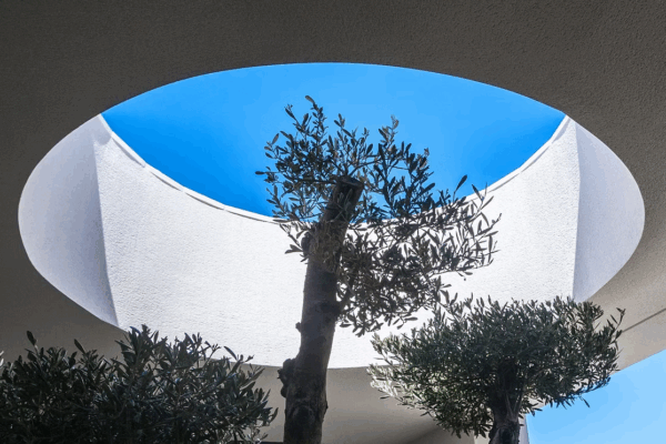 66f70f_562580f1faf54e9aa581650b23e3b538~mv2_resultado